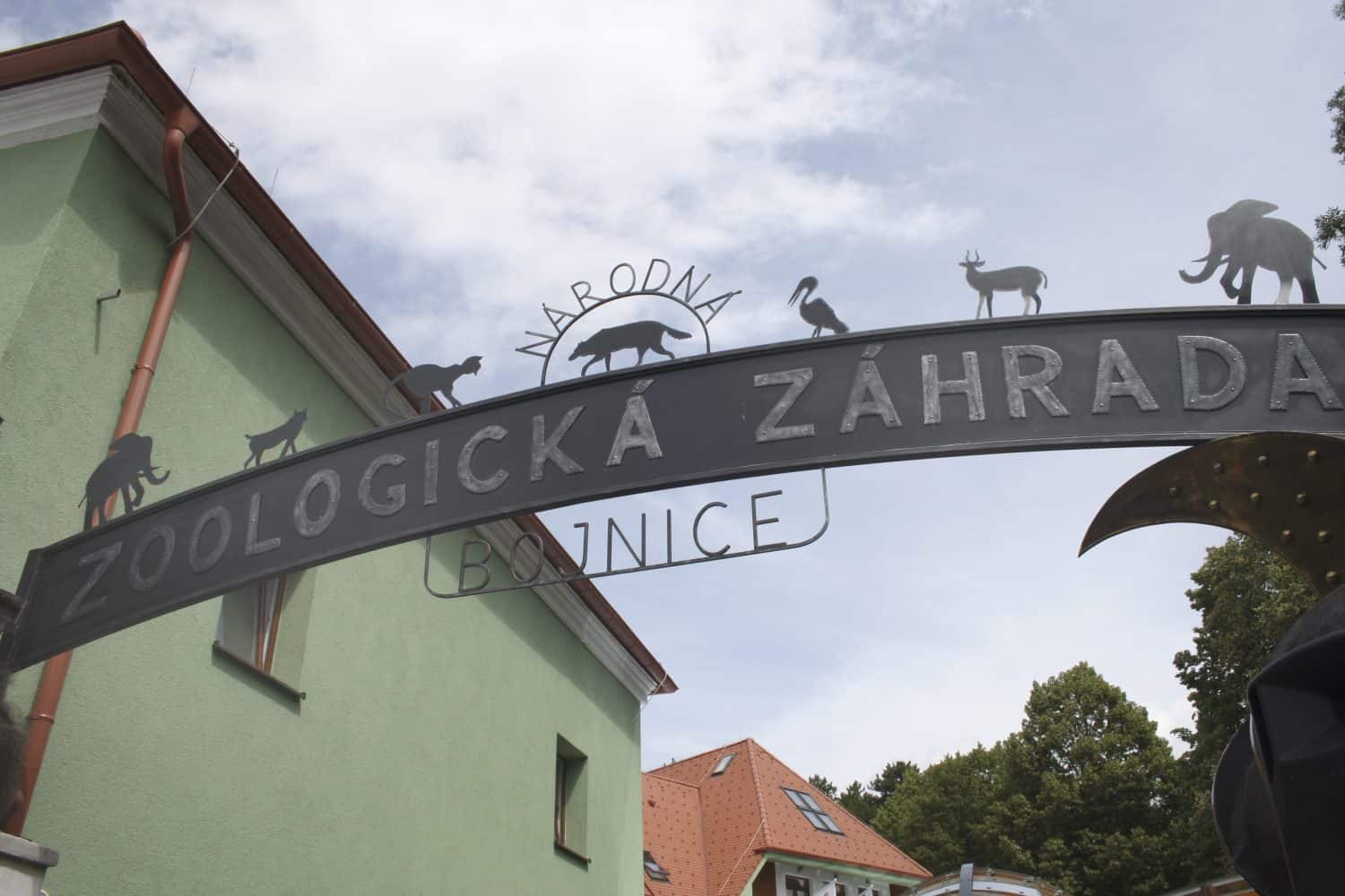 V bojnickej zoo sa narodili vzácne mláďatá: Pribudla panda červená aj rys karpatský