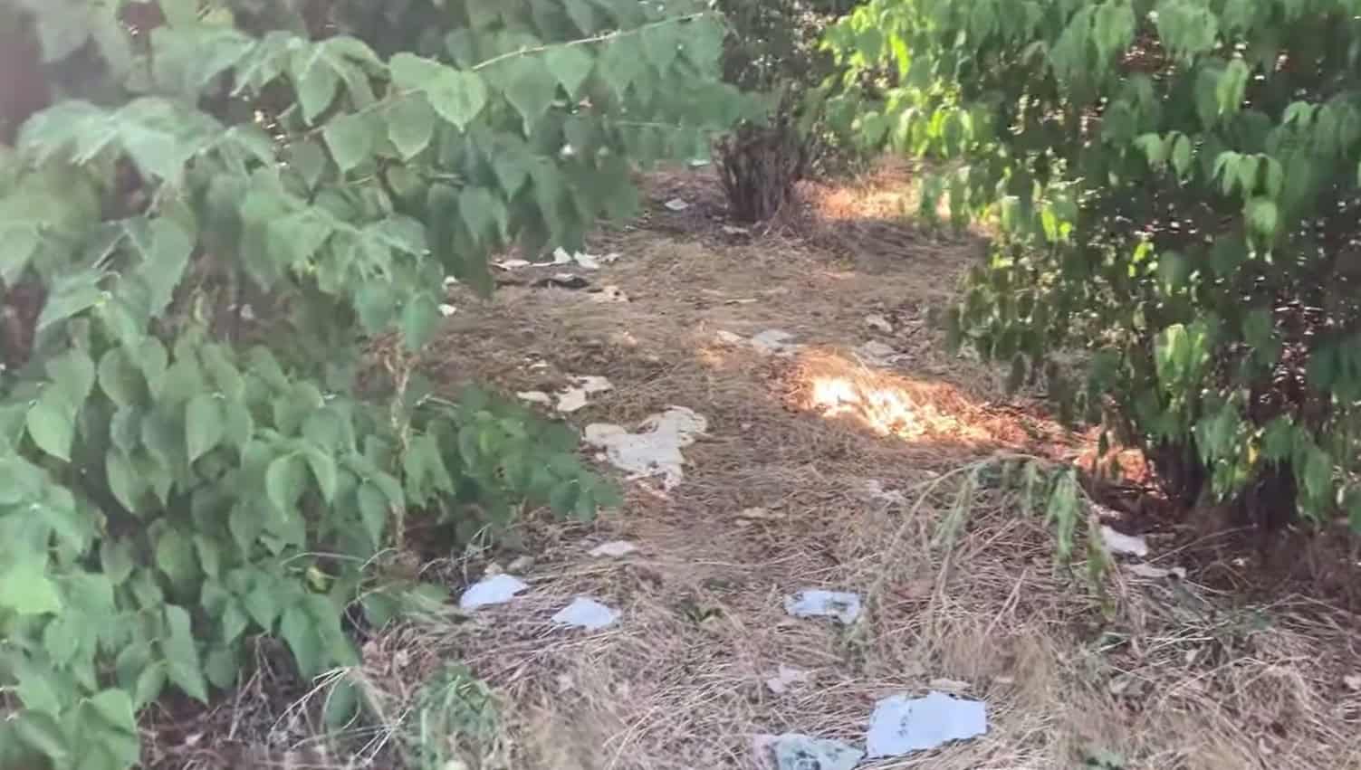 Výkaly aj opití bezdomovci hneď vedľa detského ihriska: V bratislavskom Novom Meste majú problém