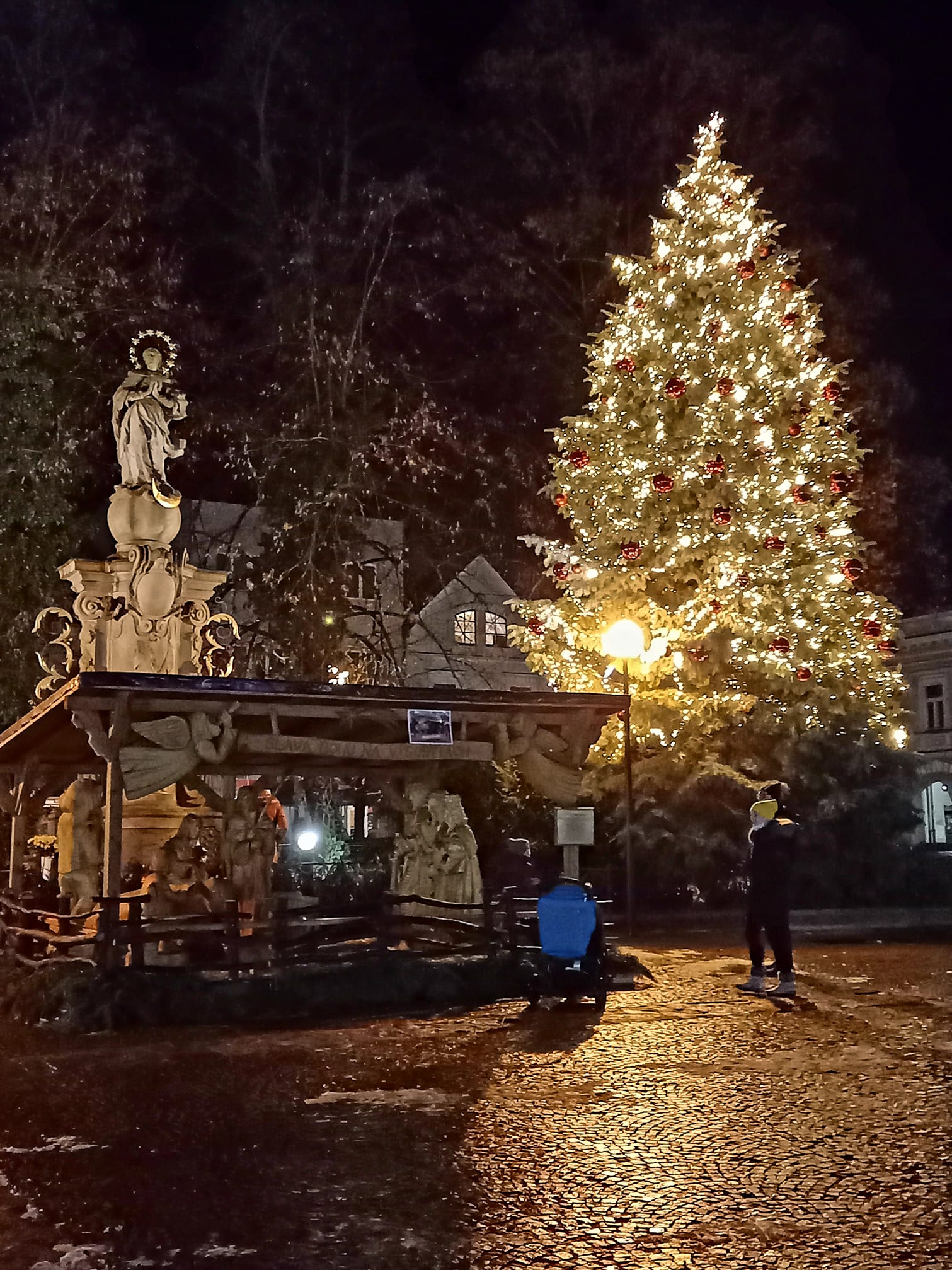 Vianočný strom v Žiline.