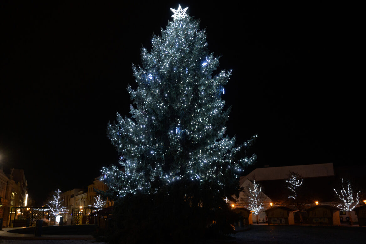 Vianočný strom v Nitre.