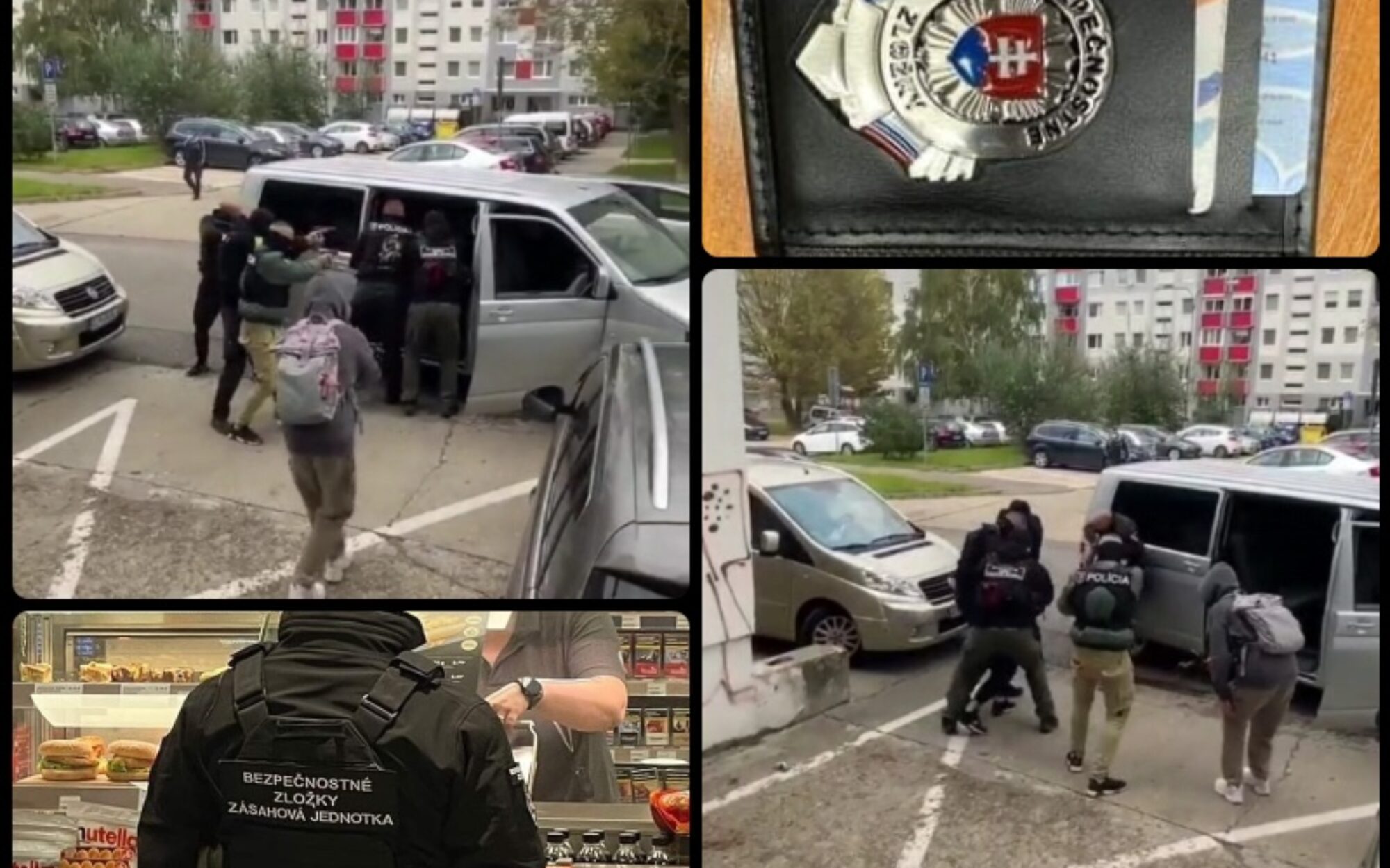Obyvatelia sú v šoku! Po Bratislave sa potuľuje skupina mušov, ktorí vyzerajú ako policajti.
