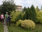 Výstava v Botanickej záhrade SPU priblíži české záhradné umenie. Zdroj: TASR