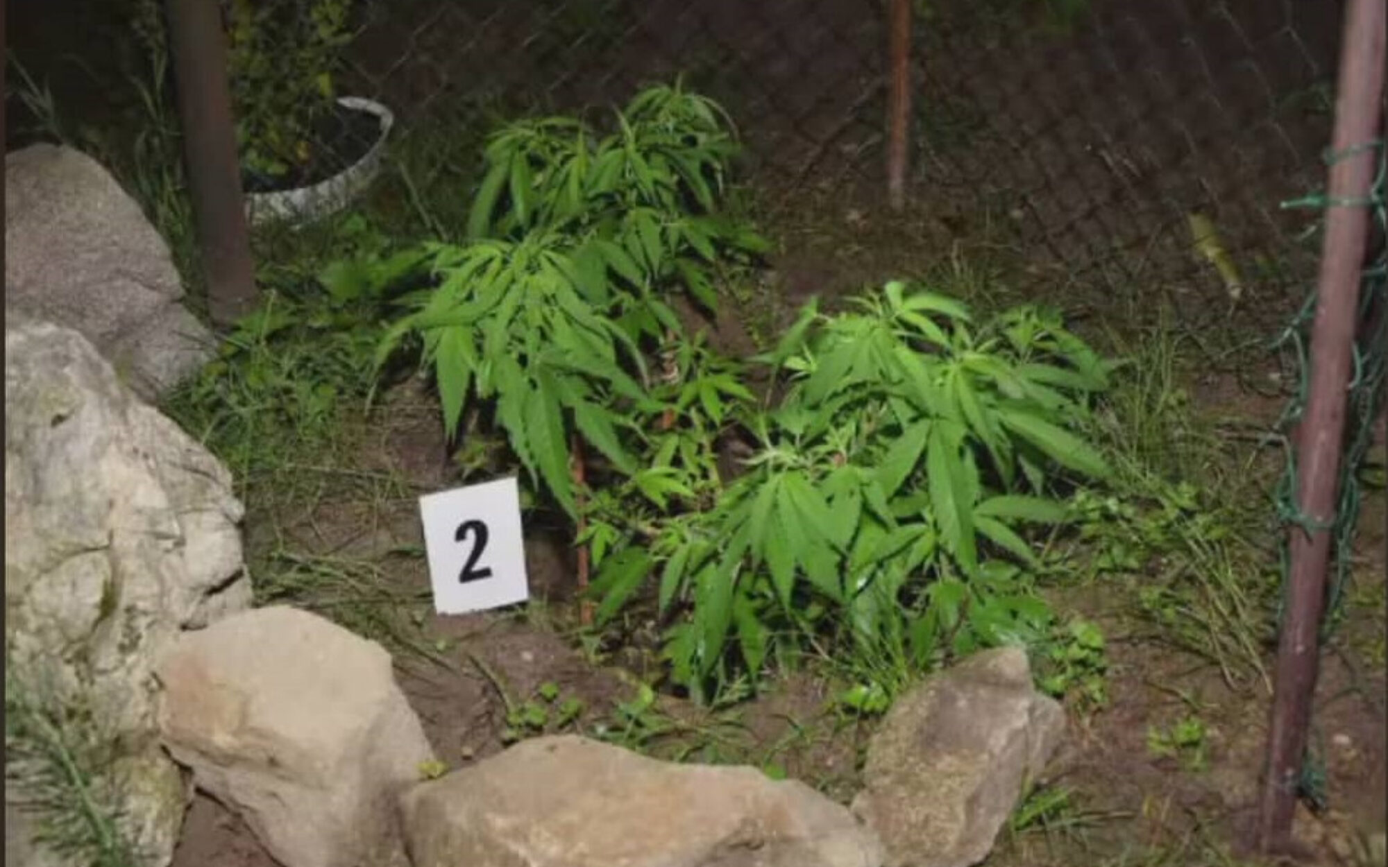 Muži predávali drogy v záhradnej chatke, hrozí im 15 rokov väzenia. Zdroj: KR PZ BA