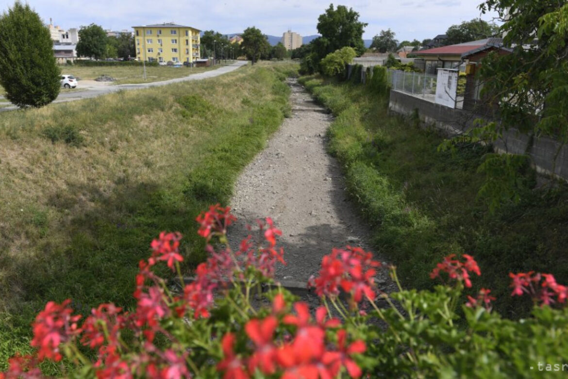 Park na križovatkách ulíc Hálkova a Letná plánujú zrevitalizovať. Zdroj: TASR