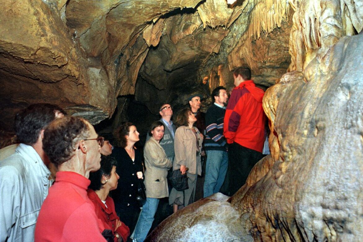 Jaskyňa Driny sa nachádza v Smolenickom krase.