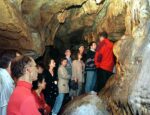 Jaskyňa Driny sa nachádza v Smolenickom krase.