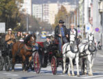 Mesto Skalica ponúka turistom prehliadku pamiatok na koči ťahanom koňmi