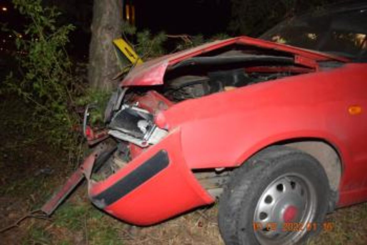 Vodič pod vplyvom alkoholu sa snažil uniknúť polícii, narazil do stromu. Zdroj: KR PZ TN