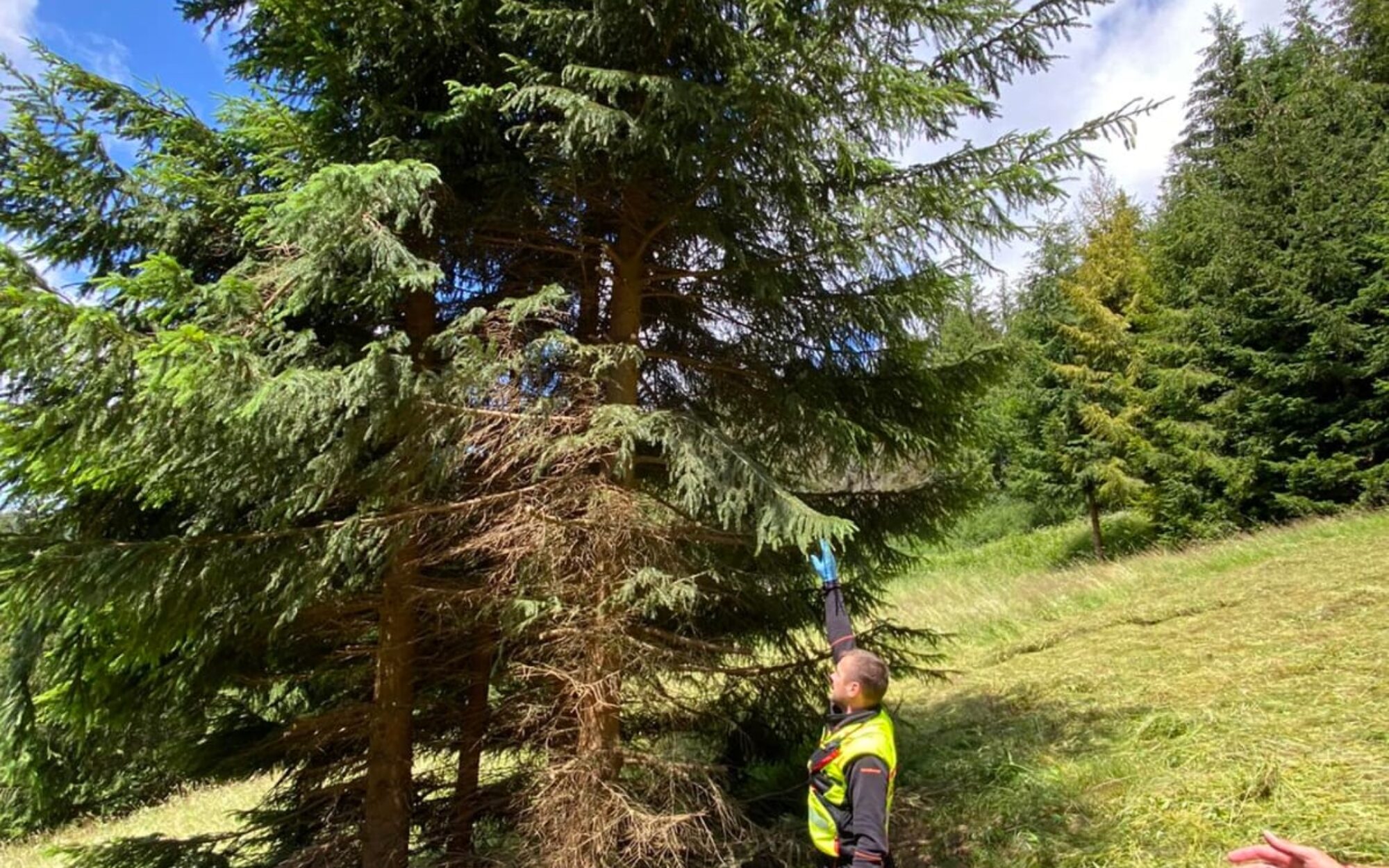 Horskí záchranári pomáhali v Terchovej poľovníkovi po páde zo stromu. Zdroj: HZS