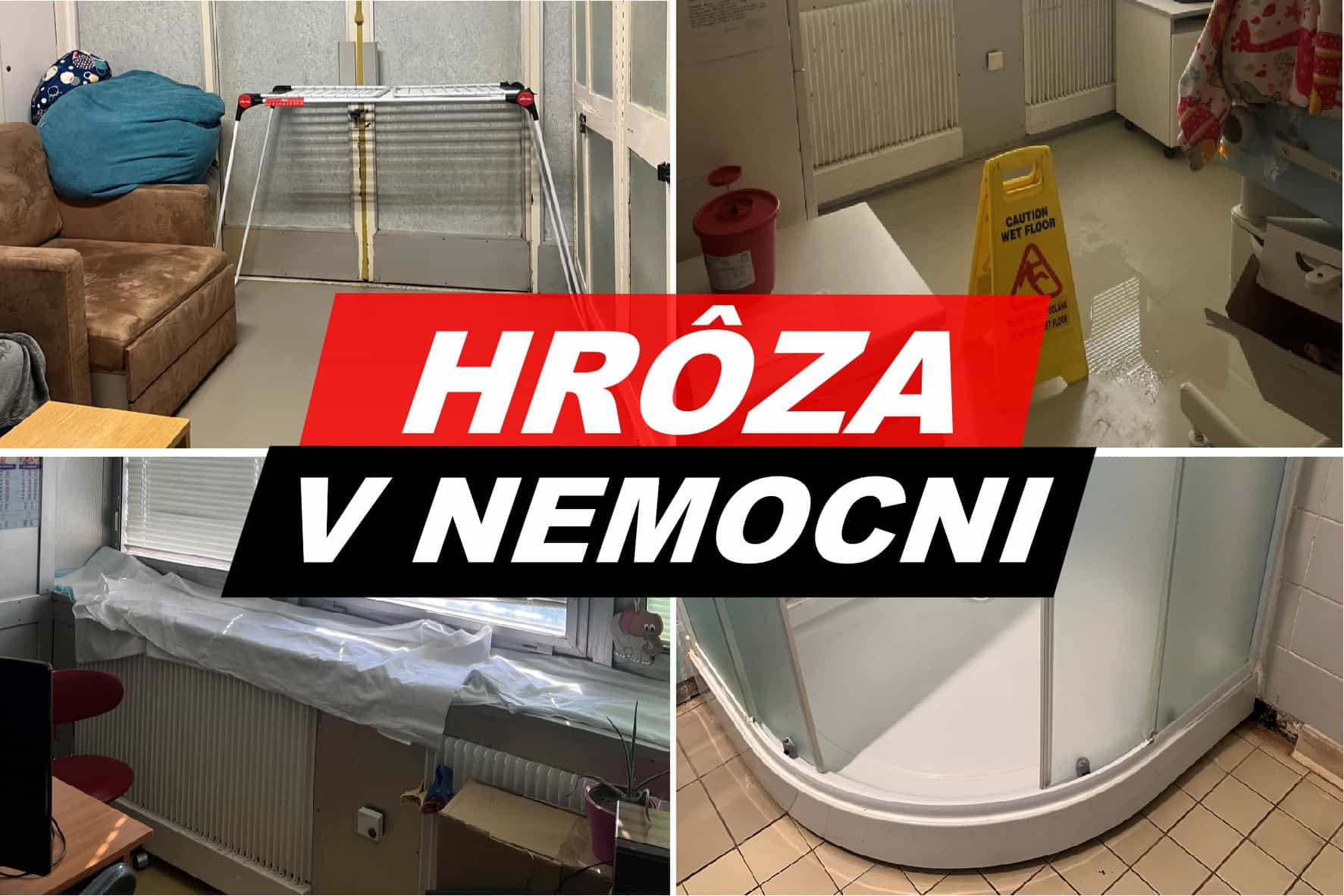 FOTO HRÔZA V NEMOCNICI, kde bojujú o život bábätká: Holuby aj NETOPIERE pri inkubátoroch! Lekári PROSIA ľudí o pomoc