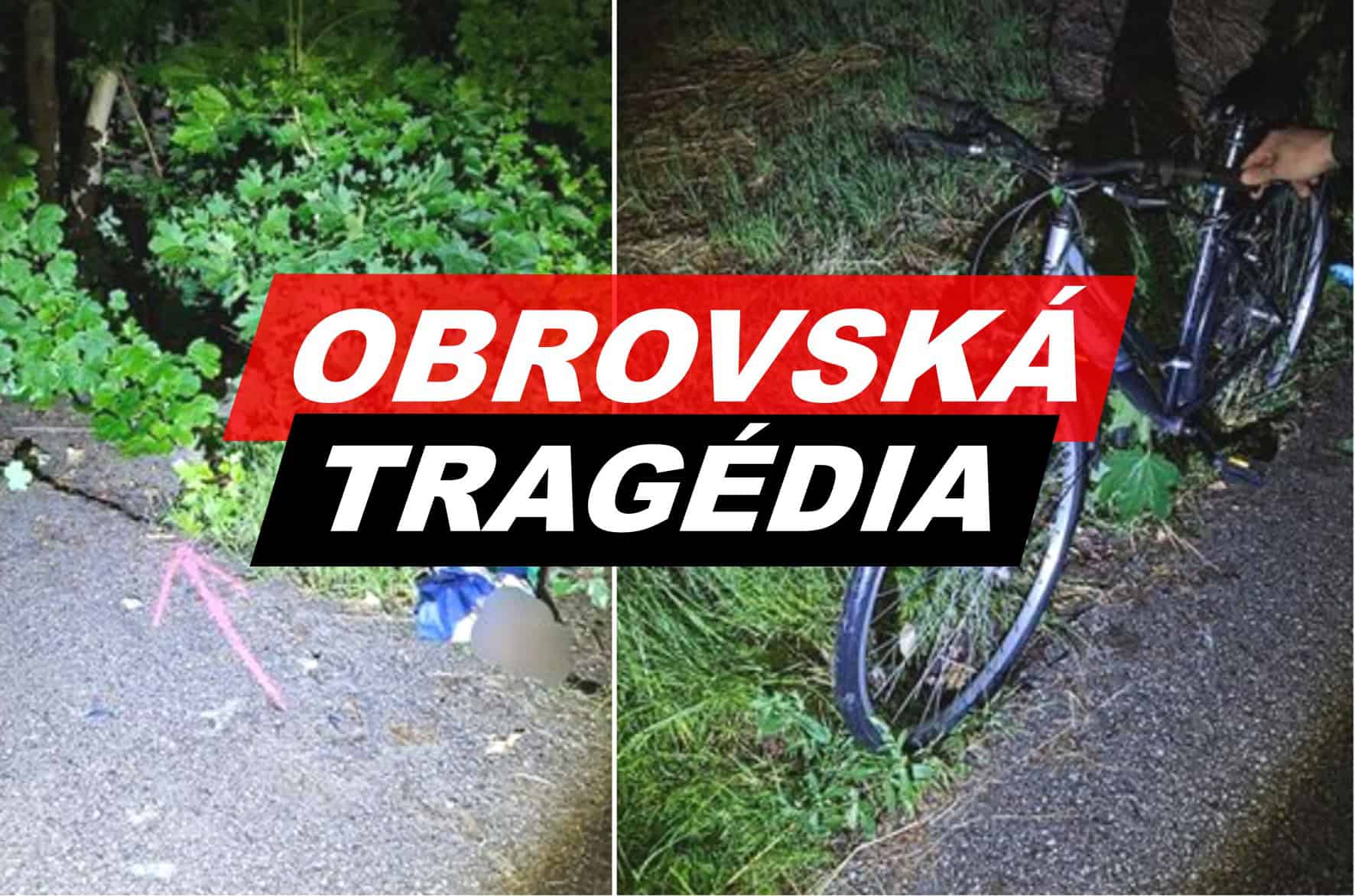 FOTO OBROVSKÁ TRAGÉDIA na cyklotrase! Muž po náraze zomrel priamo na mieste: Mrazivé DETAILY nešťastia