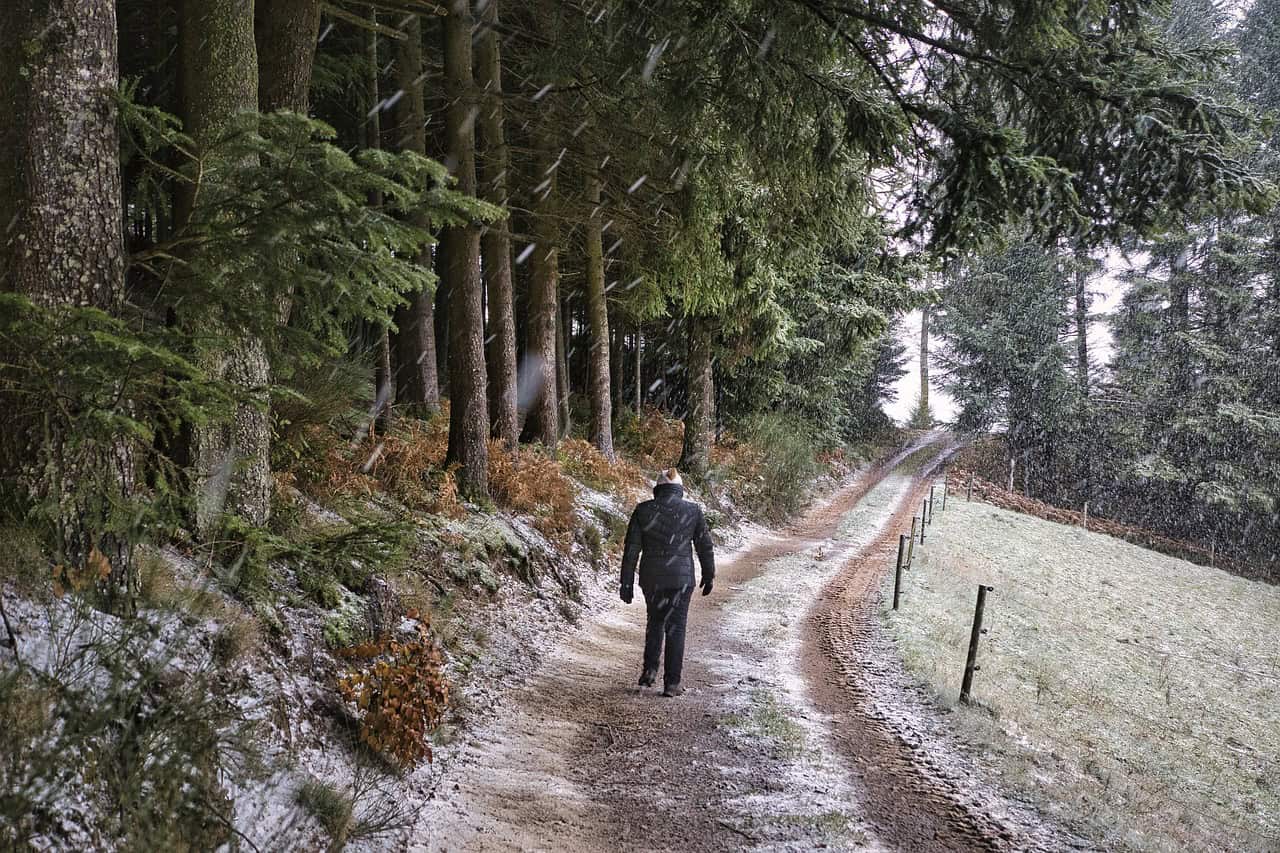 V Slovenskom raji dočasne uzatvárajú obľúbené turistické chodníky, dôvodom je výrub a úprava potoka