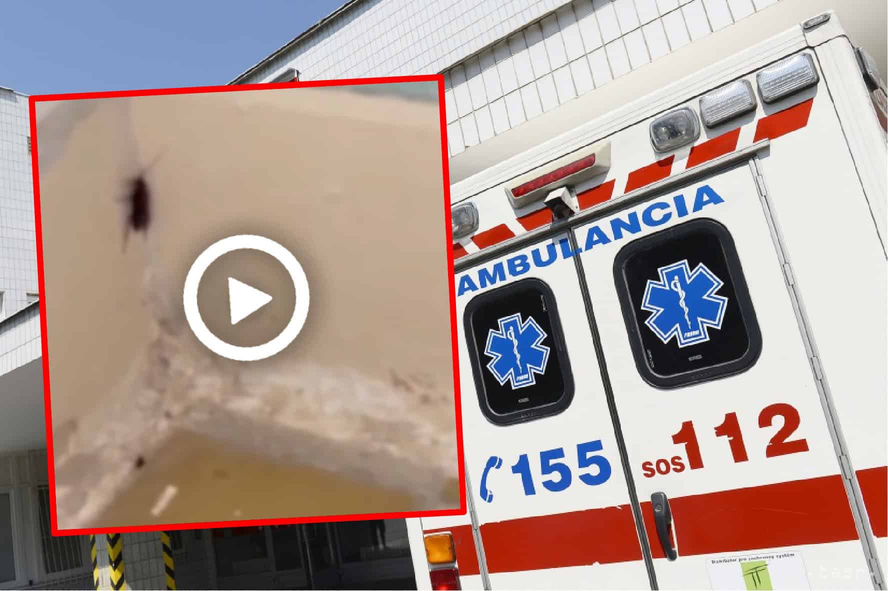ŠOKUJÚCE VIDEO z univerzitnej nemocnice: ŠVÁBY obsadili kúpeľne aj toalety! Ako je to možné? TOTO je REAKCIA