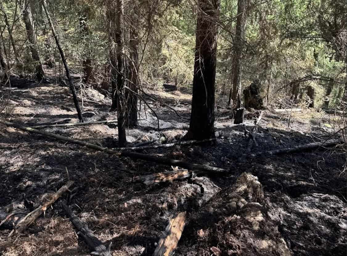 FOTO Lesný požiar pod vrchom Kimberk neďaleko Štrby sa ďalej nerozšíril
