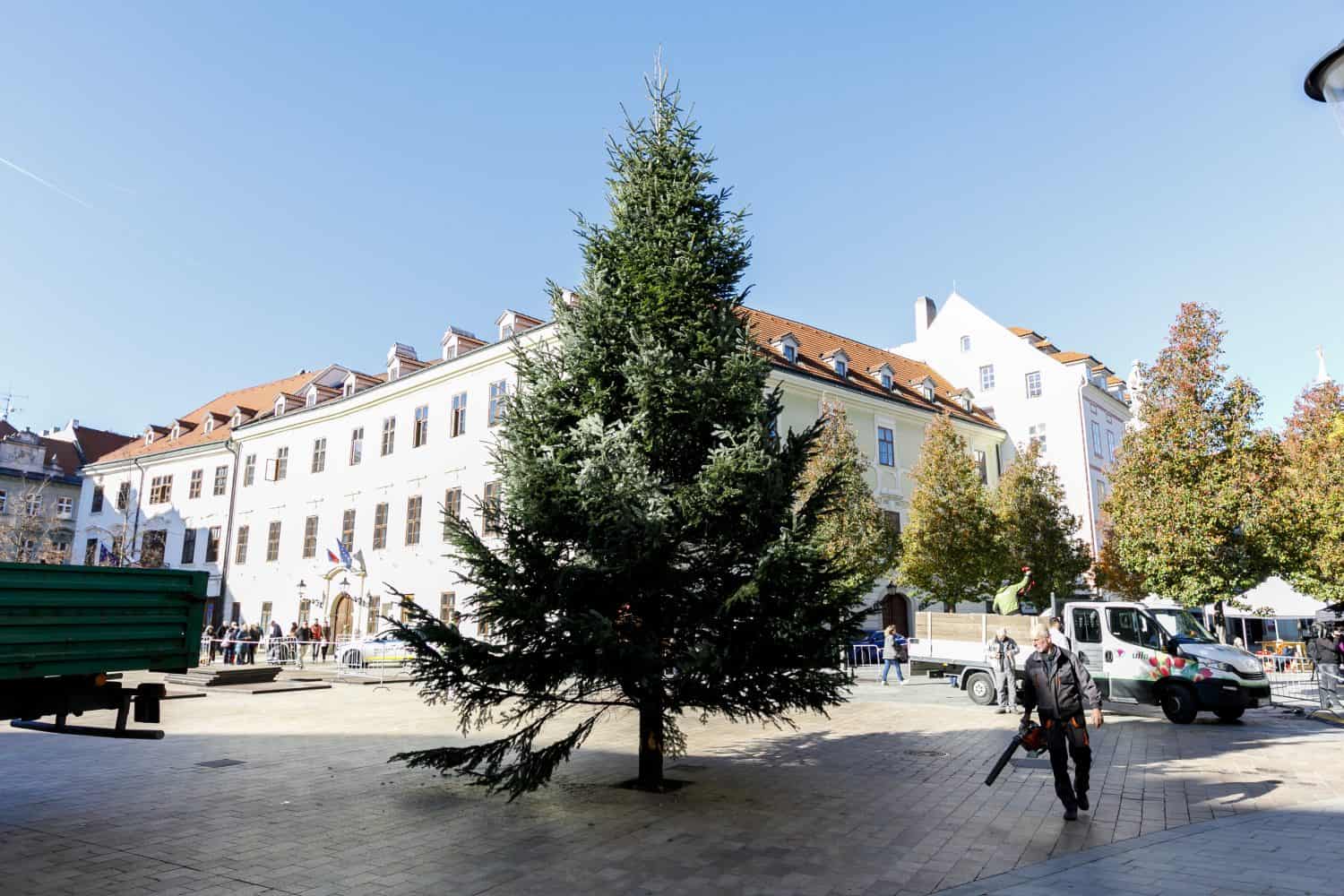V centre Bratislavy už stojí vianočný stromček: Poznáme dátum rozsvietenia aj otvorenia trhov