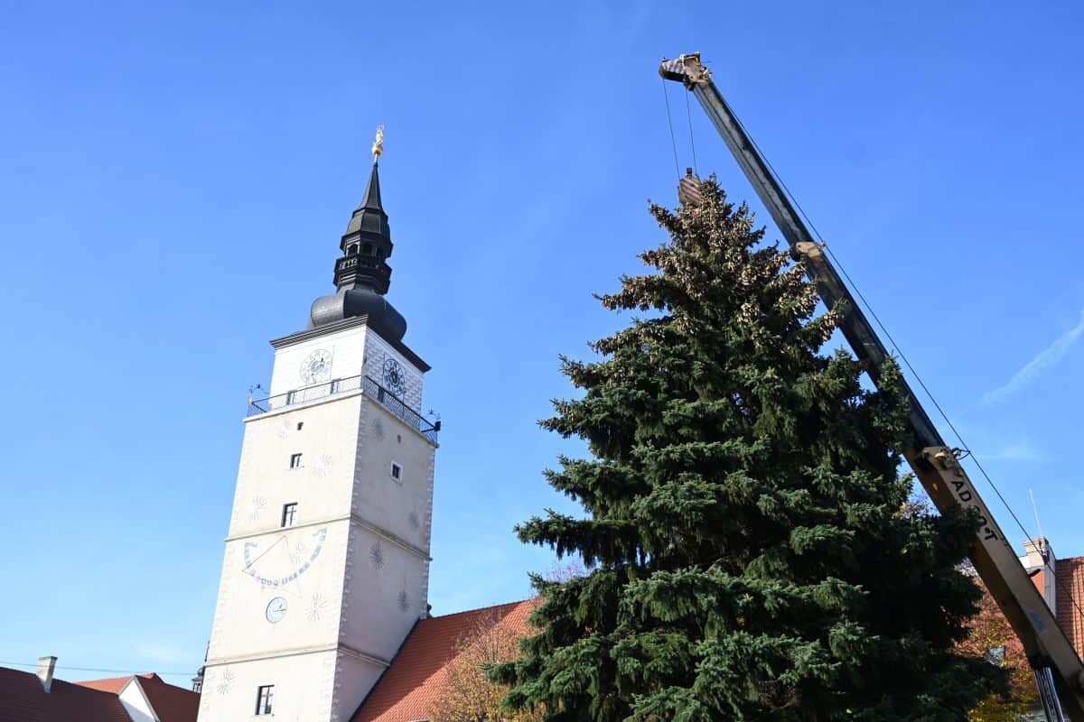 Presne pred 100 rokmi rozsvietili v Trnave prvý vianočný stromček – tradícia pokračuje dodnes