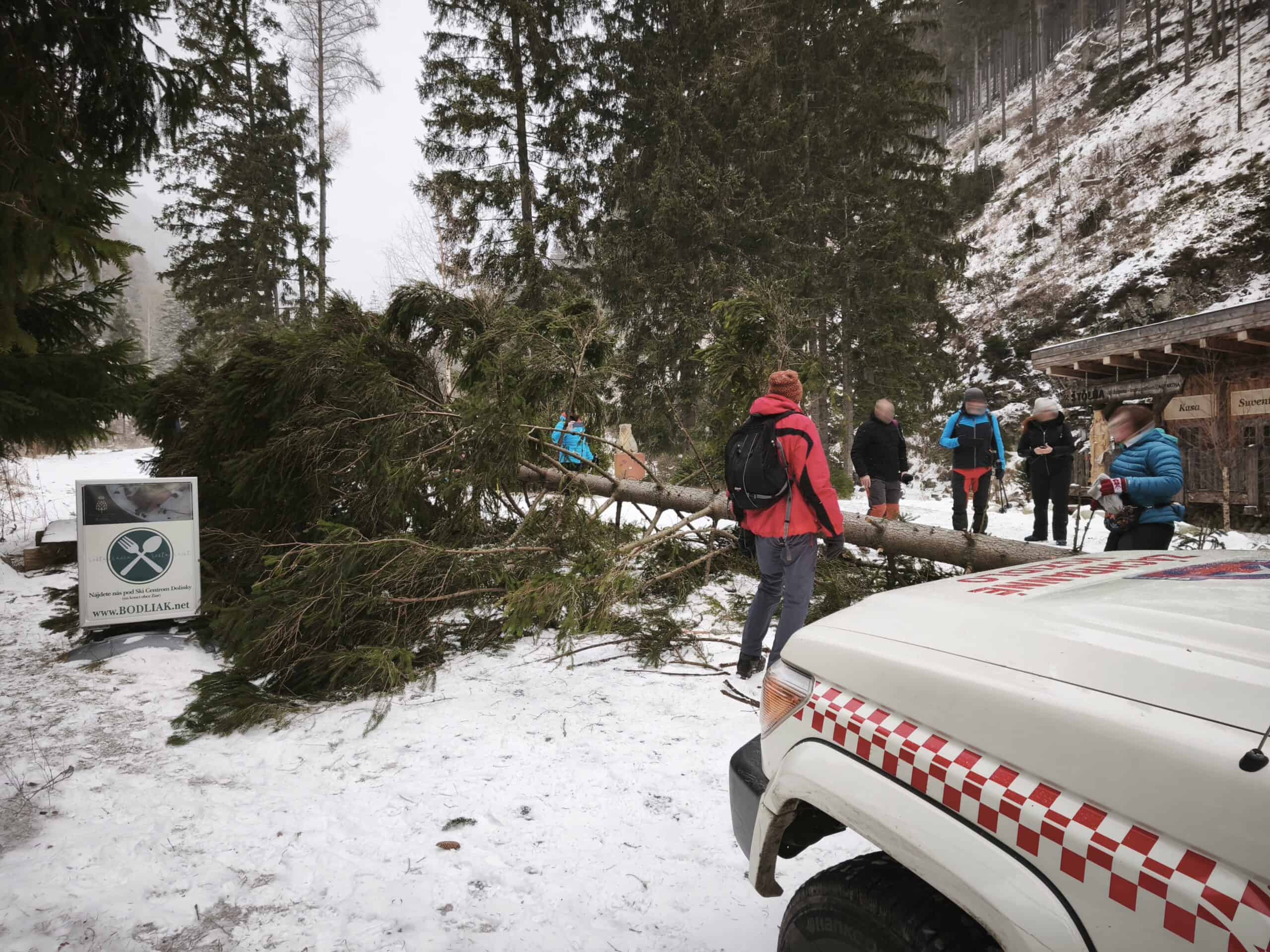Dráma v Žiarskej doline: FOTO Padajúci strom zranil štyroch turistov, zasahovali horskí záchranári