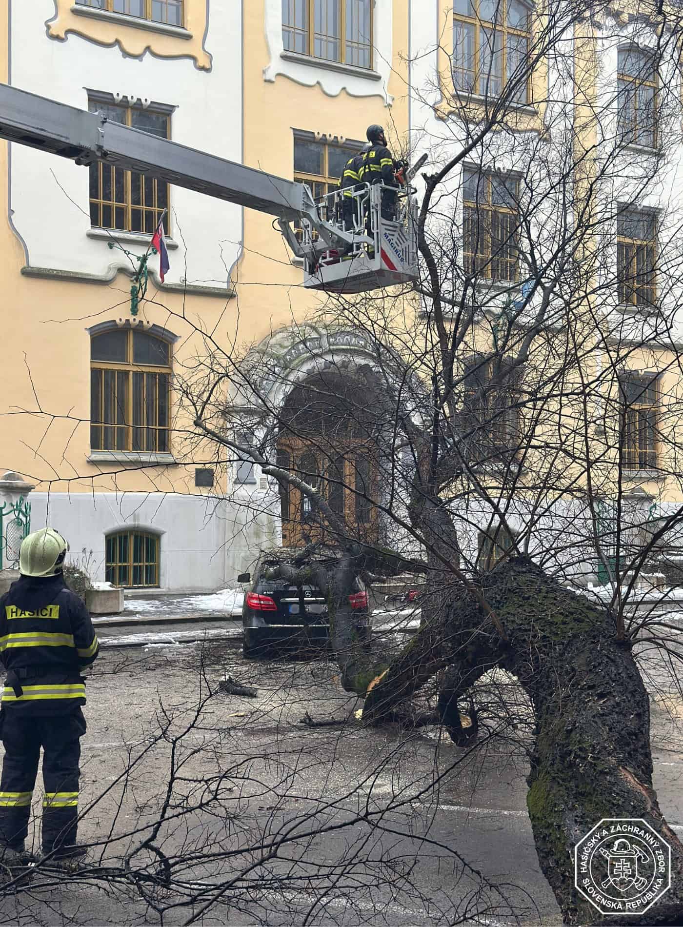 V centre Bratislavy spadol strom na autá, hasiči rýchlo zasahovali a cestu sprejazdnili