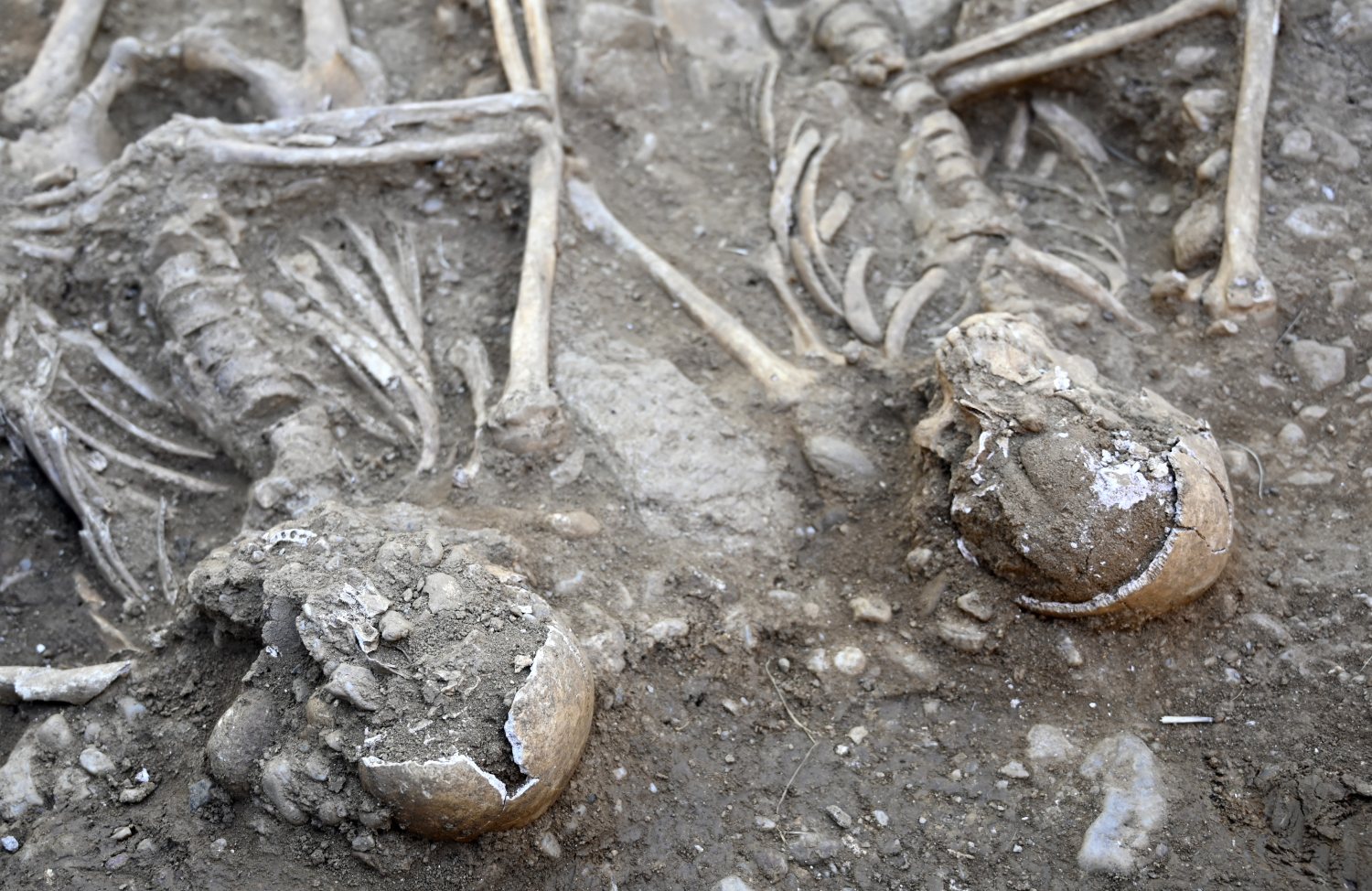 Prekvapivý objav v kláštore Veľká Skalka: Archeológovia našli takmer kompletnú kostru zo 17. storočia