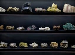 Pozrite si unikátnu výstavu: Tribečské múzeum v Topoľčanoch odhaľuje poklady minerálov a skamenelín z regiónu