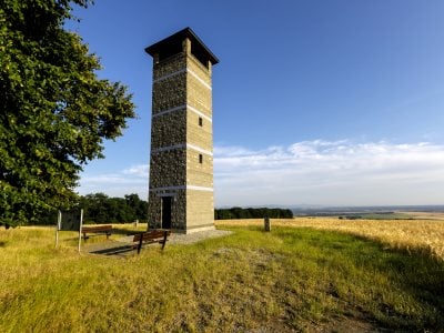 Unín sa chystá na historickú slávnosť: Prvá Alej roka na Slovensku bude mať pamätnú plaketu