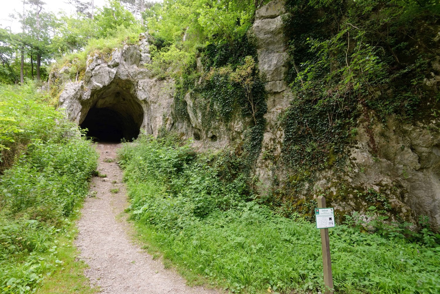 Výskum v jaskyni Čertova pec pri Radošine: Archeológovia čakajú na nové objavy už toto leto
