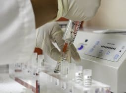 Radošovce: Festival SmileFest priniesol peniaze pre deti po transplantácii kostnej drene