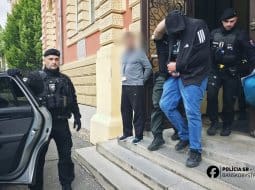 Šokujúci prípad v Sečovciach: Muž brutálne usmrtil šteňa kladivom, súd rozhodol o treste