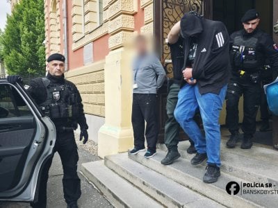 Šokujúci prípad v Sečovciach: Muž brutálne usmrtil šteňa kladivom, súd rozhodol o treste