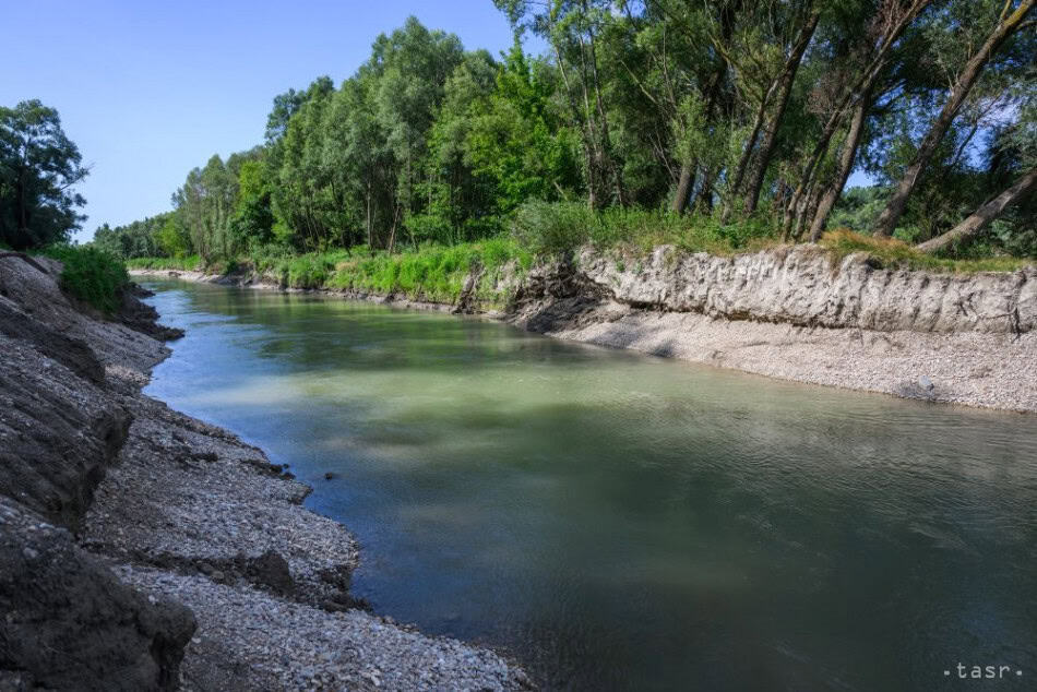Veľký úspech ochranárov: Dunajské rameno Malé Foki v Bratislave po rokoch opäť plné života
