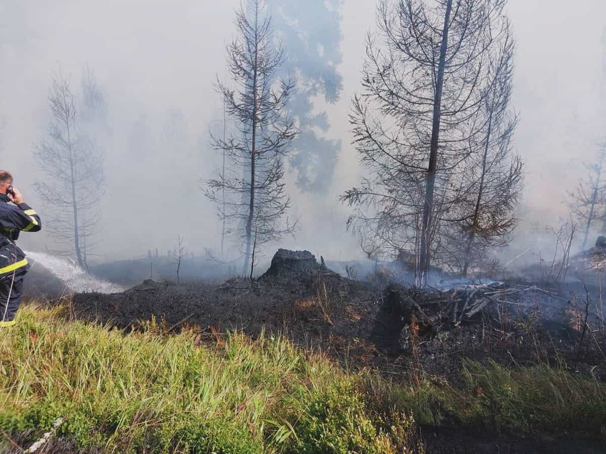 Aktuálne: Požiar lesa pod Popradským plesom sa podarilo zastaviť, zasahovali desiatky hasičov aj vrtuľník