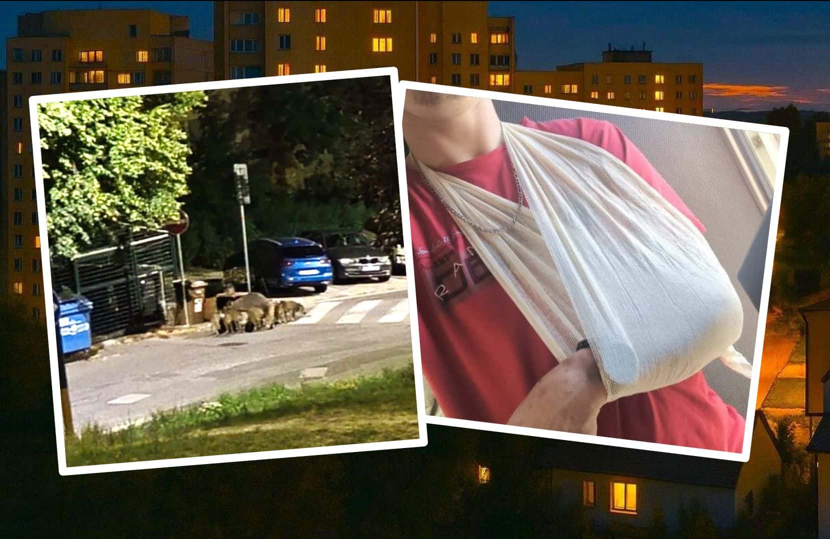 DESIVÝ ÚTOK na sídlisku: Muža napadla diviačica s 13 mladými! VIDEO Má potrhané väzy, mrazivé SVEDECTVO