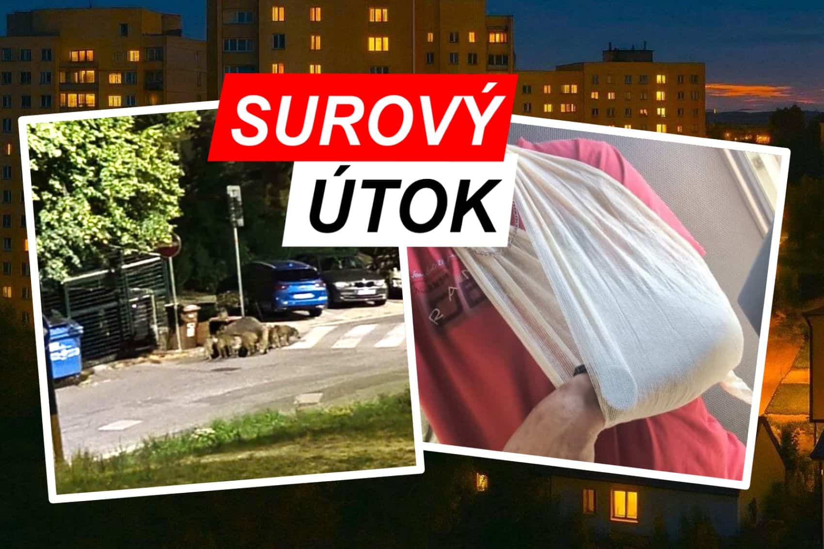 DESIVÝ ÚTOK na sídlisku: Muža napadla diviačica s 13 mladými! VIDEO Má potrhané väzy, mrazivé SVEDECTVO