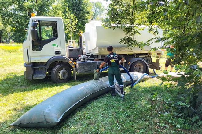 Košice chránia mestskú zeleň pred suchom: Mladé stromy zachraňujú zavlažovacie vaky