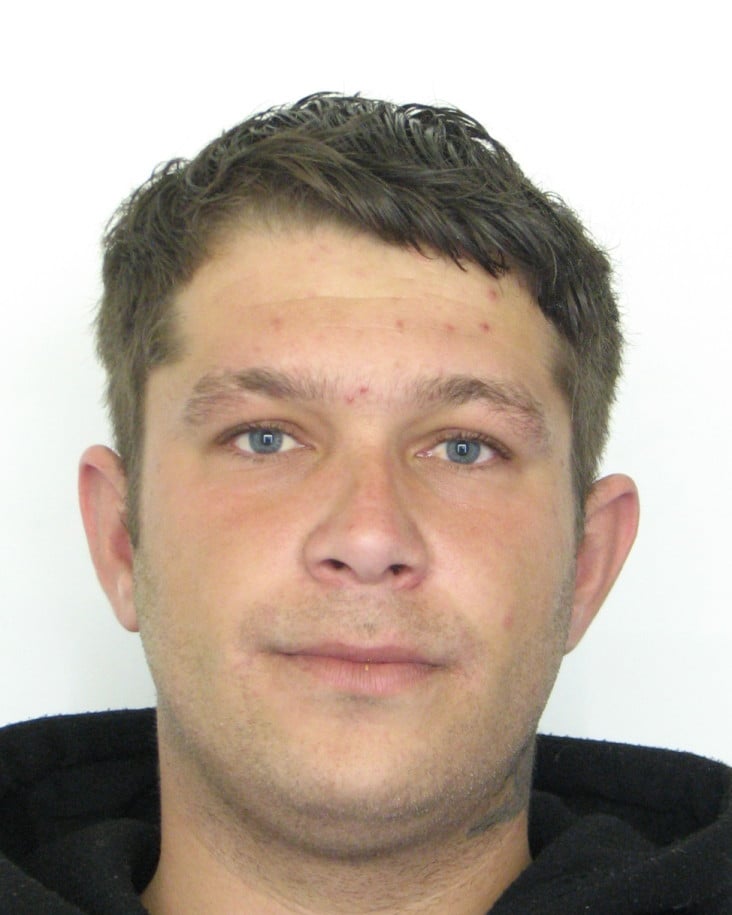 Milan RADIČ